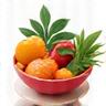 Illustration of healthy food ingredients and a bowl, symbolizing nutrition optimization